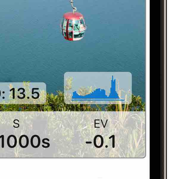 Histogram of the scene shown on the viewfinder
